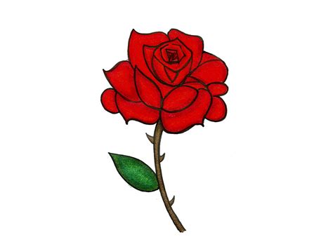 Rose Cartoon Drawing at GetDrawings | Free download