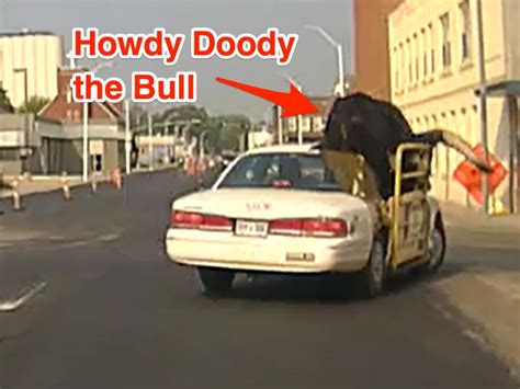 A huge bull named Howdy Doody rode shotgun in his owner's car on a highway. Police said the bull ...