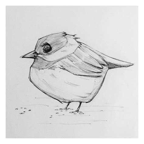 25 #mikephillipsart #cartoon #fat #bird #chickadee #ink #sketch # ...