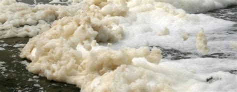 If You Ever See Massive Amounts of Foam In The Ocean, Here's What It Means