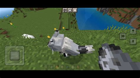 Badgers in minecraft - YouTube