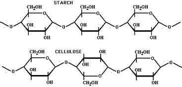 Carbohydrates - Polymers!!