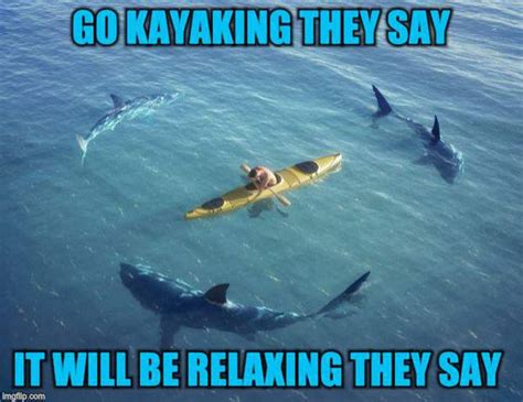 Shark Week Memes: Best of the Best | Picture | Break.com | Salt water fishing, Shark fishing, Shark