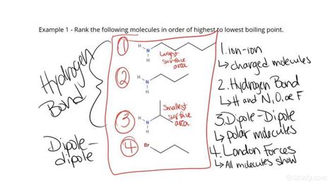 Understanding How Intermolecular Forces Affect Boiling Points ...