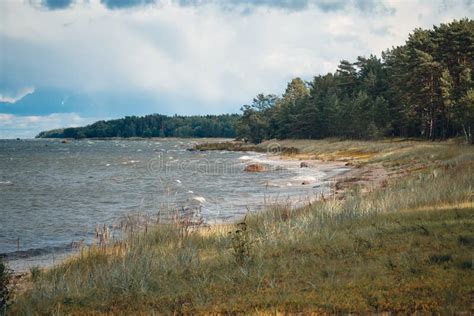 Baltic Sea and Coastline, Estonia Stock Image - Image of horizon, dunes ...