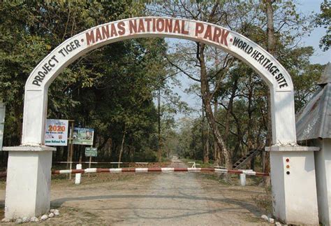 Manas National Park in Assam reopens on Saturday | National parks ...