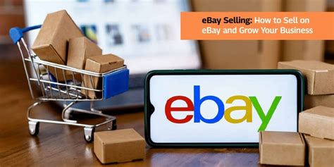 PushAMZ Inc - eBay Selling: How to Sell on eBay and Grow Your Business