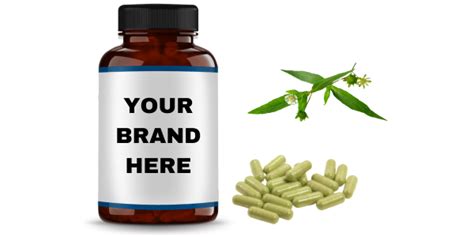 Bhringraj Capsules Manufacturers and Bulk Suppliers in USA