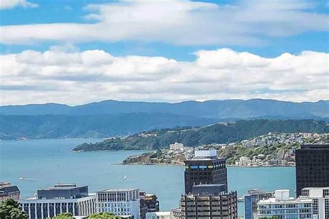 The BEST Wellington Tours and Things to Do in 2022 - FREE Cancellation | GetYourGuide