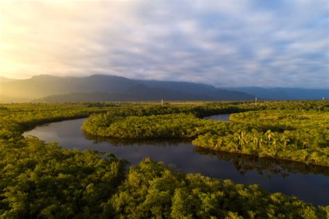 15 Interesting facts about the Amazon Rainforest - Swedish Nomad