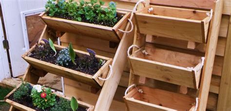 Maceteros de madera para tu hogar | Plantas