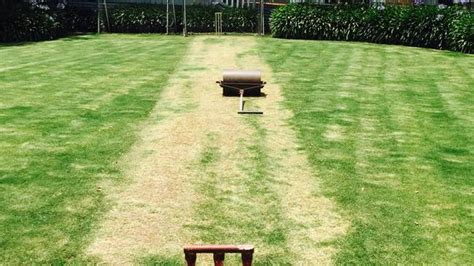 The Grade Cricketer, book, Backyard cricket, Christmas Day | Fox Sports