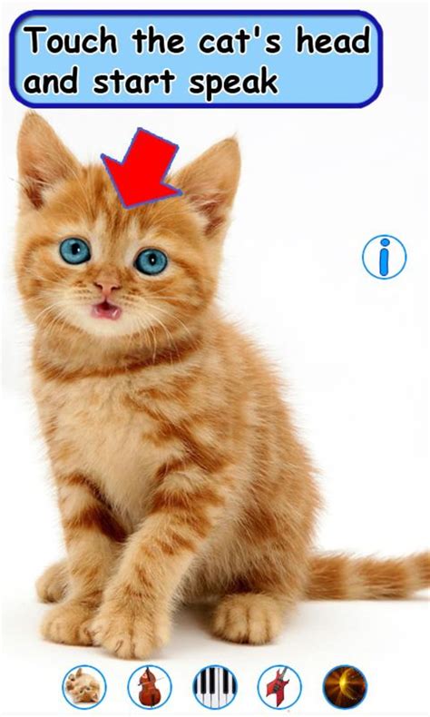 Talking, Dancing Cat. APK for Android - Download