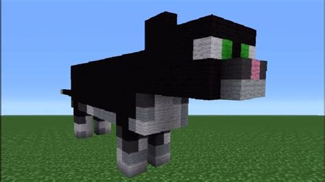 How To Tame A Cat In Minecraft