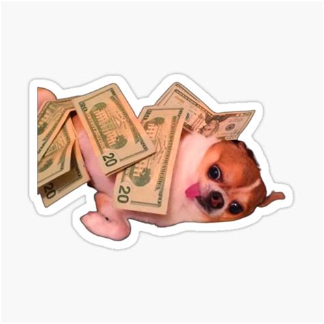 "Money dog funny doge meme" Sticker for Sale by redakhatib | Redbubble