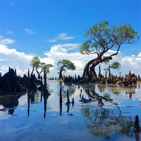 Walakiri beach, sumba island, Indonesia Photo by: Edgar Hardianta IG: @edgarhardianta # ...