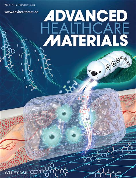 Silk Fibroin Hydrogels: Enhanced Osteogenesis of Bone Marrow‐Derived Mesenchymal Stem Cells by a ...