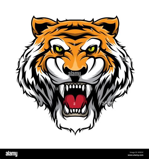 Roaring Tiger. Tiger Head Mascot Illustration Vector Stock Vector Image & Art - Alamy