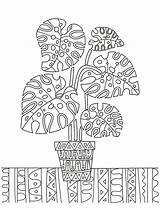 Houseplants Coloring Page Free Printable Of Plants For  sketch template