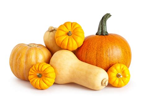 Is a Pumpkin a Squash? - Healthy Green Kitchen