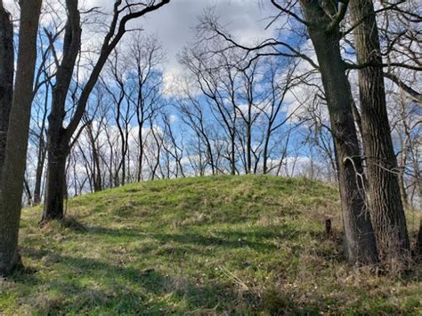 The Digital Research Library of Illinois History Journal™: The History of the Paleo-Indians of ...