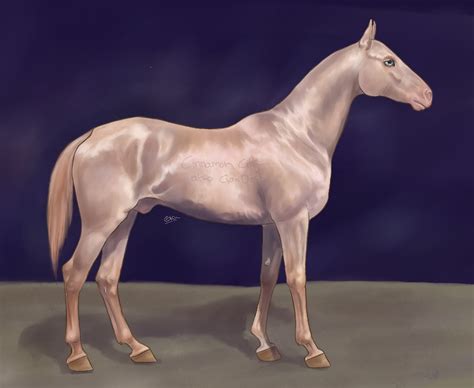 Perlino akhal teke stallion by Ro-sea on DeviantArt