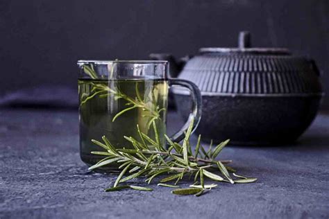 Fragrant Rosemary Tea Recipe - SimplyBeyondHerbs