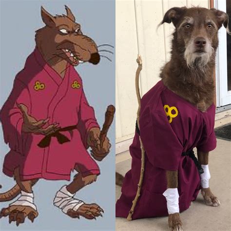 halloween costume 2019 #9 | Dogs | Know Your Meme