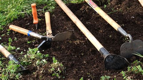 Choosing the Right Garden Tools for Your Vegetable Garden ...