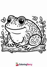 35 Toads Coloring Pages Free PDF Printables sketch template