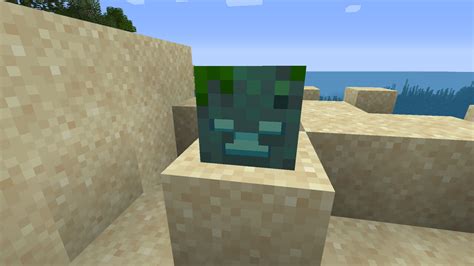 Drowned Head Minecraft Texture Pack