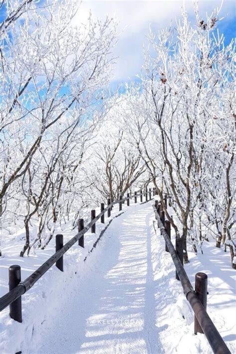 20 Of The Best Winter Festivals in South Korea - Kelly Today