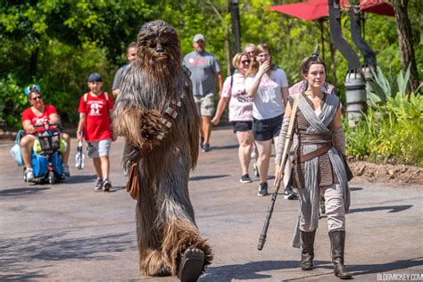 Characters Roaming Freely Again Within Star Wars: Galaxy's Edge at Disney's Hollywood Studios