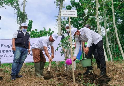 Program Bantuan Penanaman Pohon Tahun 2021