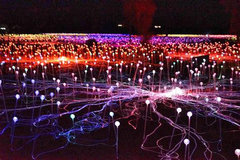 Field Of Light Uluru - Spectacular Light Exhibition Contrasting The Stars