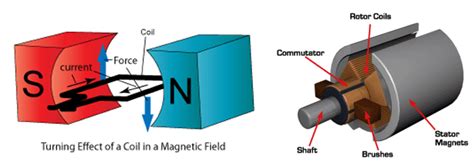 M6-S4: Applications of The Motor Effect: DC Motor – Science Ready