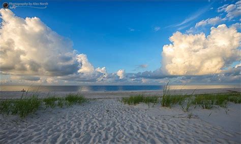 Mississippi Gulf Coast (photo by Alex North) | Gulf coast, Mississippi ...