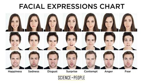 Facial Expressions And Emotions Chart