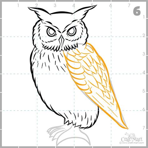 213-drawing-owl-step-6 - Craft-Mart