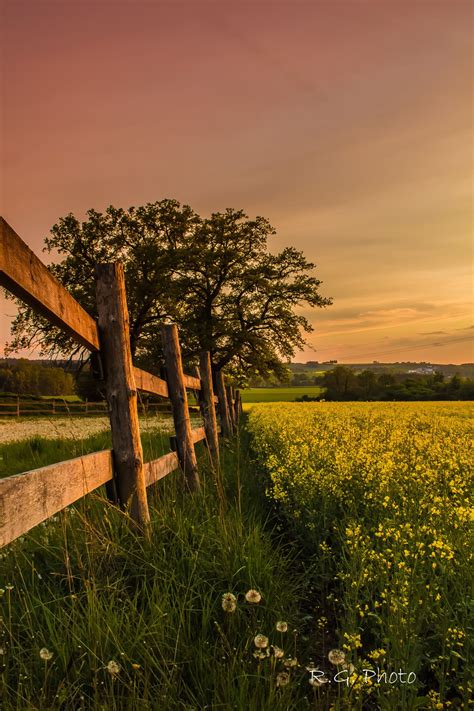 Golden hour | Country life photography, Beautiful landscapes, Nature photography