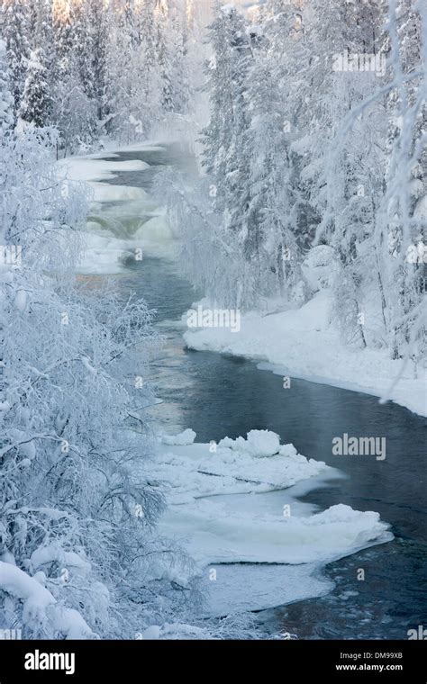 River in snowy forest at winter in Finland Stock Photo - Alamy