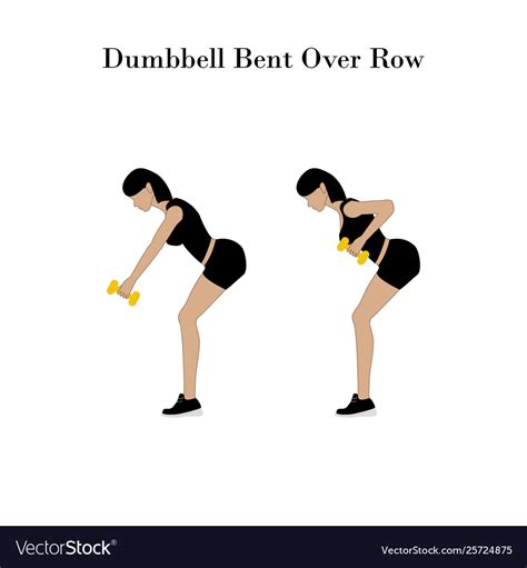 Bent Over Dumbbell Rows