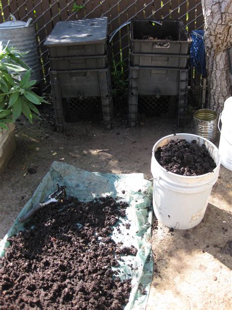 The finished compost | Worm composting, Compost, Vermicomposting