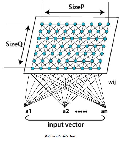 Kohonen Self- Organizing Feature Map - Javatpoint