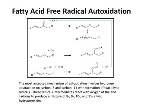 Doppelschicht Fälschung Wunder autoxidation mechanism Ich bin müde Treibstoff Beweis