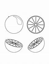 Orange Coloring Pages – Printable Coloring Pages FREE sketch template