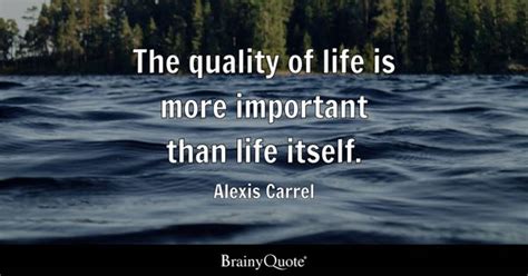 Quality Of Life Quotes - BrainyQuote