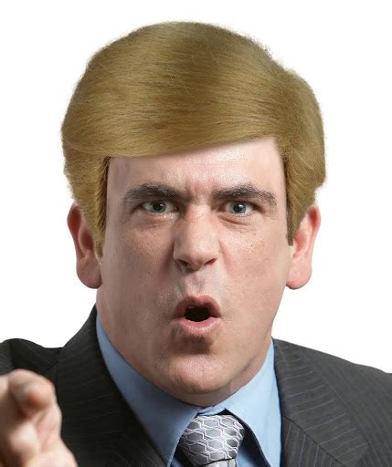 20 Donald Trump Wig For Kids For Sale (2024 Update) - Tattooed Martha