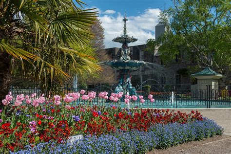 Home - Friends of the Christchurch Botanic Gardens