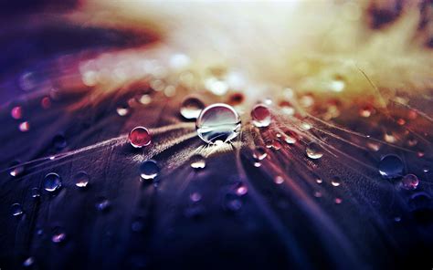 Water Droplets Wallpapers - Wallpaper Cave